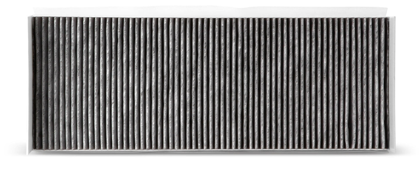 Fleetguard Active Carbon Cabin Air Filter - Fleetguard AF55719