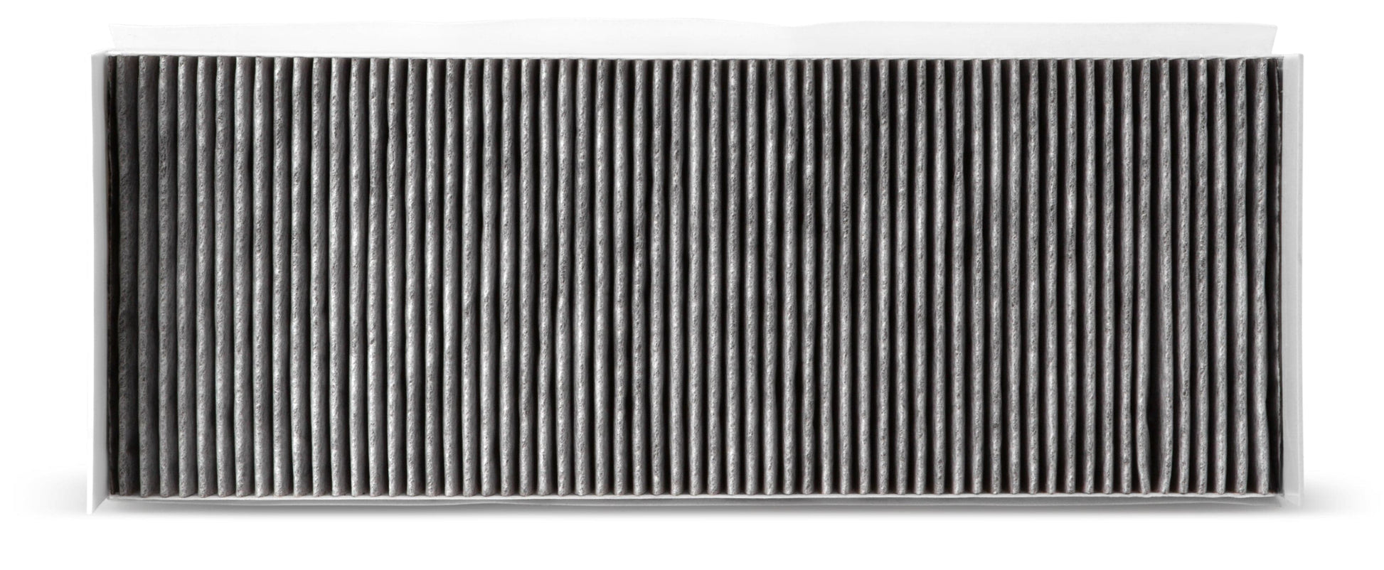 Fleetguard Active Carbon Cabin Air Filter - Fleetguard AF55719