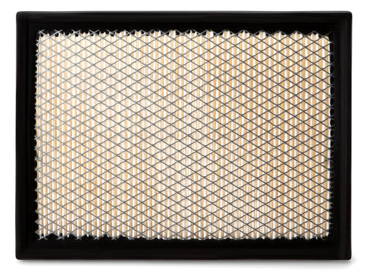 Fleetguard Air Filter