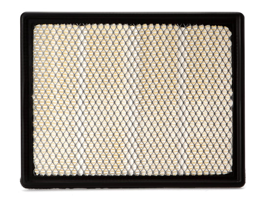 Fleetguard Air Filter - Panel