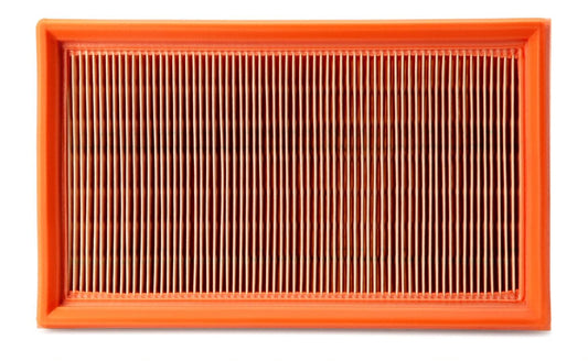 Fleetguard Air Filter - Panel