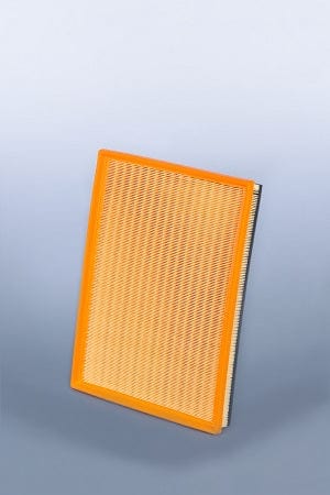 Fleetguard Air Filter - Panel