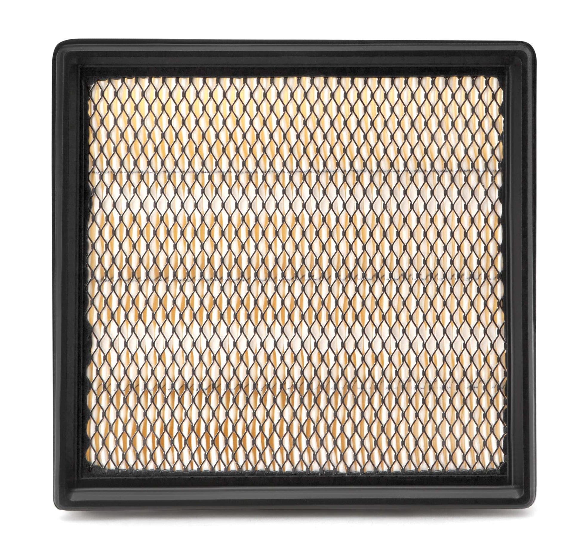 Fleetguard Air Filter - Panel