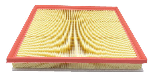 Fleetguard Air Filter - Panel