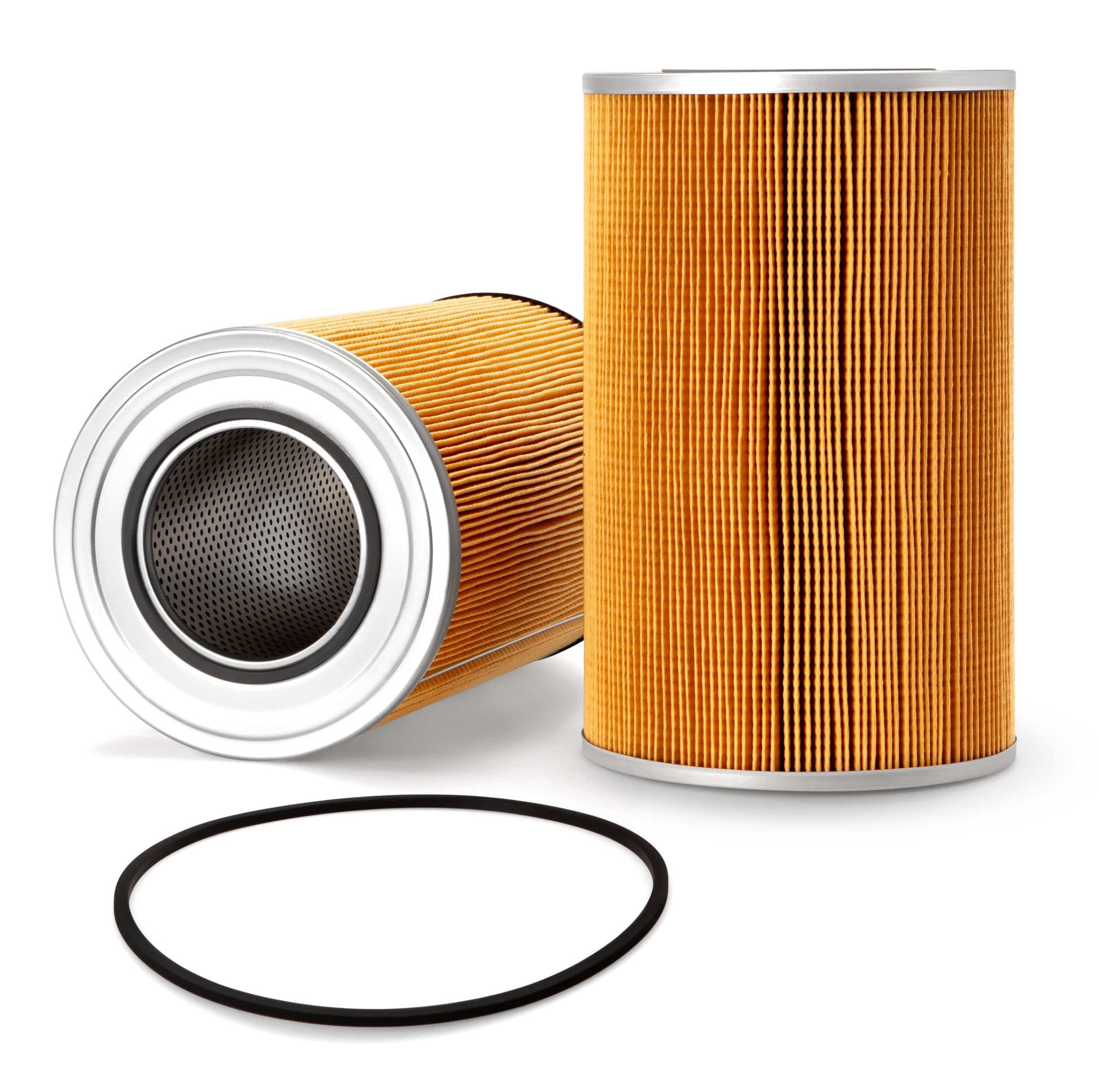 Fleetguard Primary Fuel Filter (Cartridge) - Fleetguard FF5699